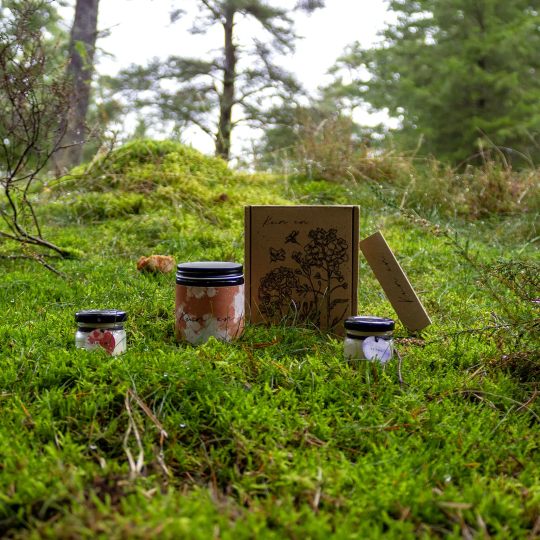Pumpkin Latte Lys - Efterårskomfort i Rapsvoks