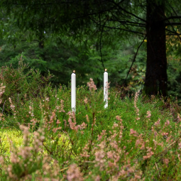 Stagelys af rapsvoks - 4 stk., duftfri