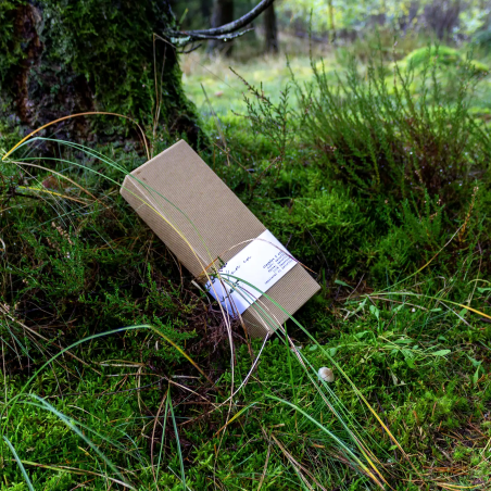 Taper rapeseed candles - 8 pcs, unscented