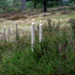 Stagelys af rapsvoks - 8 stk., duftfri