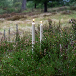 Stagelys af rapsvoks - 8 stk., duftfri