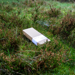 Rapeseed tealights - 10 pcs, unscented