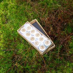 Rapeseed tealights - 10 pcs, unscented