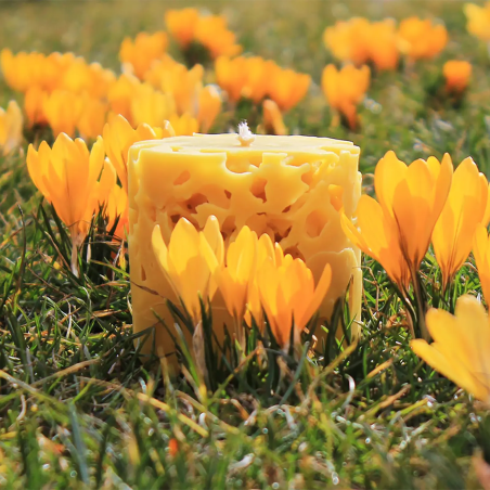 Lantern candle - natural beeswax scent