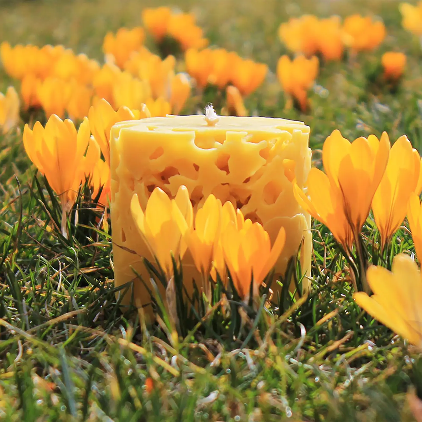 Lantern candle - natural beeswax scent