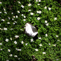 Lantern candle - natural beeswax scent