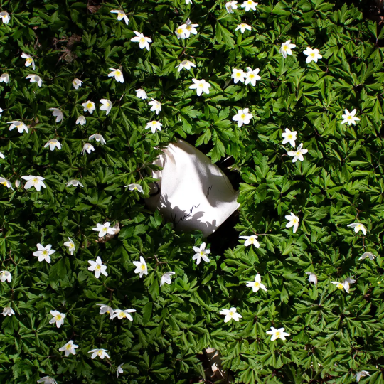 Lantern candle - natural beeswax scent