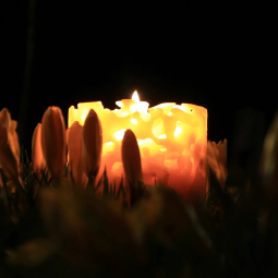 Lantern candle - natural beeswax scent